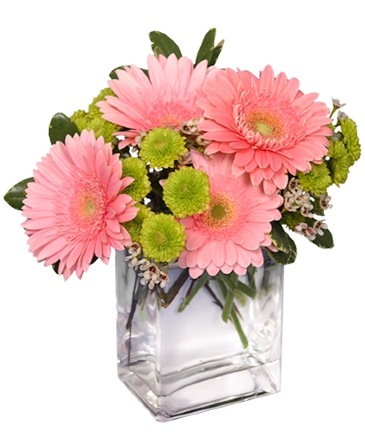 FRUIT SORBET Gerbera Bouquet in Riverside, CA | Willow Branch Florist of Riverside