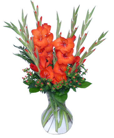 SUMMER SANGRIA Any Occasion Flowers