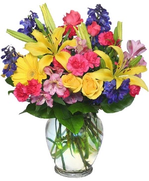 RAINBOW OF BLOOMS Vase of Flowers