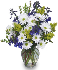 Lazy Daisy & Delphinium Just Because Flowers