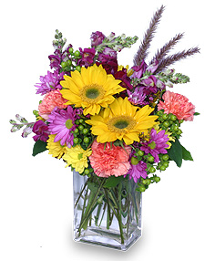 FESTIVAL OF COLORS Flower Bouquet