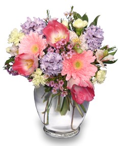Category Image
