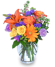 SUNSET WALTZ Vase of Flowers in Merrimack, NH | Amelia Rose Florals