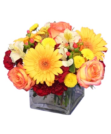 AUTUMN AFFECTION Floral Bouquet in Holbrook, MA | WHITE FLOWERS & GIFTS