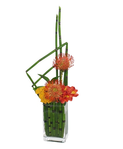 HIGH-STYLE HORSETAIL Flower Arrangement | Vase Arrangements | Flower ...