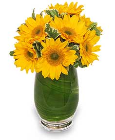 Sunny Day Greetings Vase of Flowers in Santa Clarita, CA | Rainbow Garden And Gifts