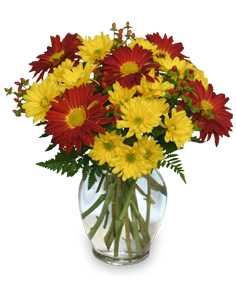 RED ROVER & YELLOW DAISY Bouquet of Flowers