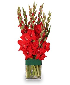 Category Image