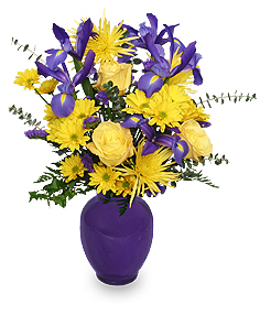 Category Image