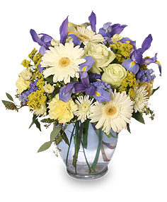 Welcome Baby Boy Flower Arrangement