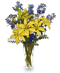 Category Image