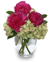 GLORIOUS MAGENTA Vase of Flowers
