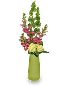 LIME SORBET BOUQUET Bouquet