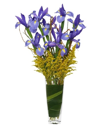 ALL THE RAGE Iris Vase in Saskatoon, SK | QUINN & KIM'S FLOWERS