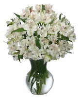 FLEECY WHITE Flower Arrangement