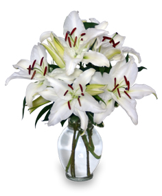 CASA BLANCA LILIES Arrangement
