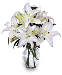 Casa Blanca Lilies Arrangement