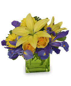 LIVELY LILIES Spring Flowers in White Oak, PA | Breitinger's Flowers LIVELY LILIES Spring Flowers in White Oak, PA | Breitinger's Flowers