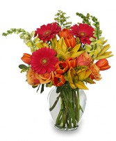 SUN-DRENCHED COLOR Arrangement