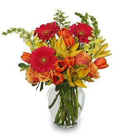 SUN-DRENCHED COLOR Arrangement