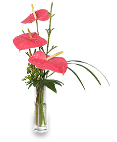 BEYOND A BUD VASE Arrangement