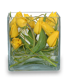 TWIRLING TULIPS Arrangement