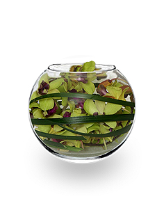 ORCHID BUBBLE BOWL Arrangement
