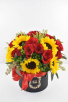 V-24 RED ROSES, W/SUNFLOWERS IN A BLACK HAT BOX