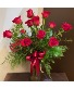 V-Day Long Stem Dozen Red Roses 