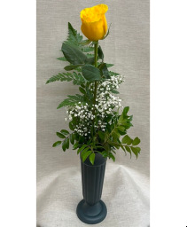 Single Rose (NO Red) Valentine's Day