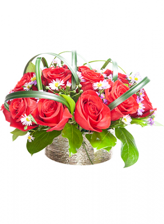 Valentines Valentines Collection 2019