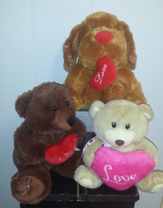 Valentine-Assorted Stuffed Animal