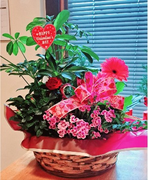 Valentine Blooming Garden 