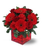 Valentine Daisies Floral Bouquet