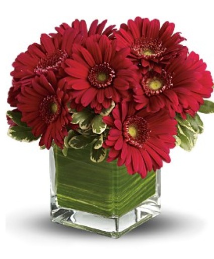 Valentine Daisies Floral Bouquet