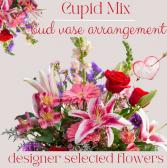 Valentine Mix-All Carnations 