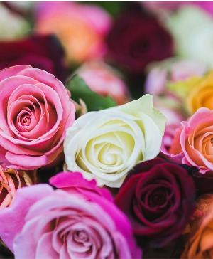 Mother's Day Rose Special vased roses