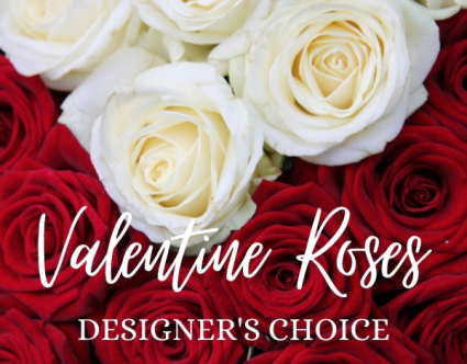 Valentine Roses  Designer's Choice Two Dozen