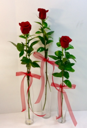 V19 Valentine Trio