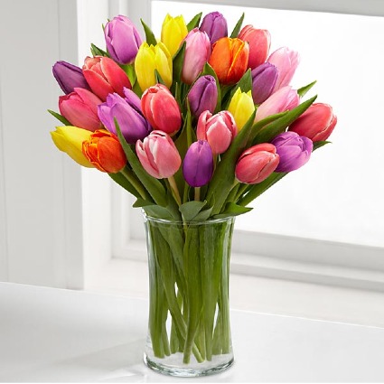 Valentine Tulips 