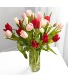 Valentine Tulips Tulips