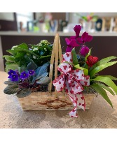 Valentine's Basket Of Blooming Plants