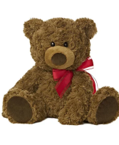 Valentines Day  Bear