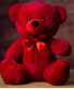 Valentines Day Red Hot Lover! Bear