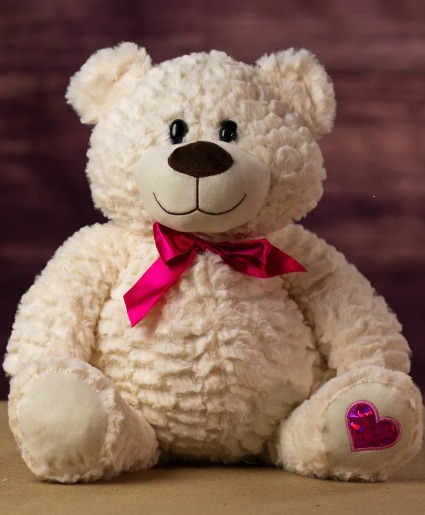 Valentine's Day Bear Soft and Cuddly 