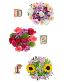 Bouquet - Small Wrapped Bouquet