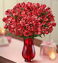 Valentines Day Peruvian Lily bouqet Lillies