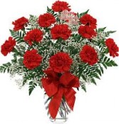  Red Carnations 