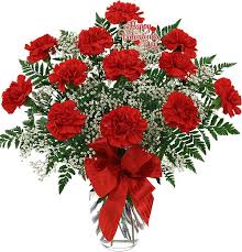 Red Carnations