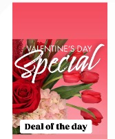  Valentine’s Deal of the day  